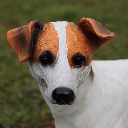 Hund Jack Russell Terrier mit Welpen